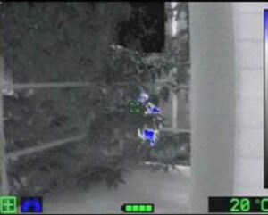Rosenbauer thermal imaging camera Mi-TIC: Missing persons mode