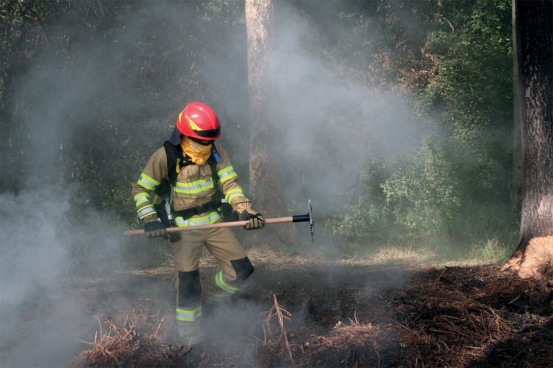 Wildfire